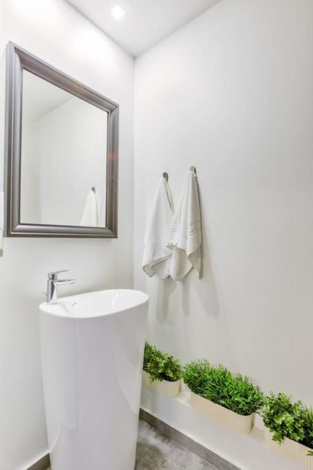 Splendor 3 Bedroom Flat In Silver Mountain Poiana Brasov Esterno foto